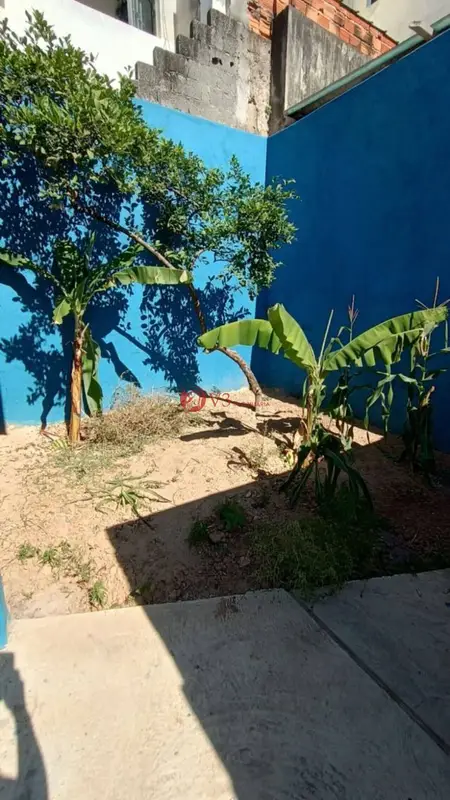 Casa - 2 quartos - Vila Sílvia - São Paulo - foto 4