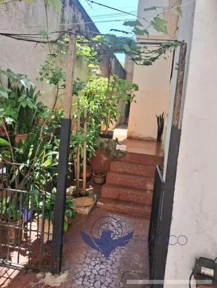 Casa com 3 quartos em Saúde - foto 4